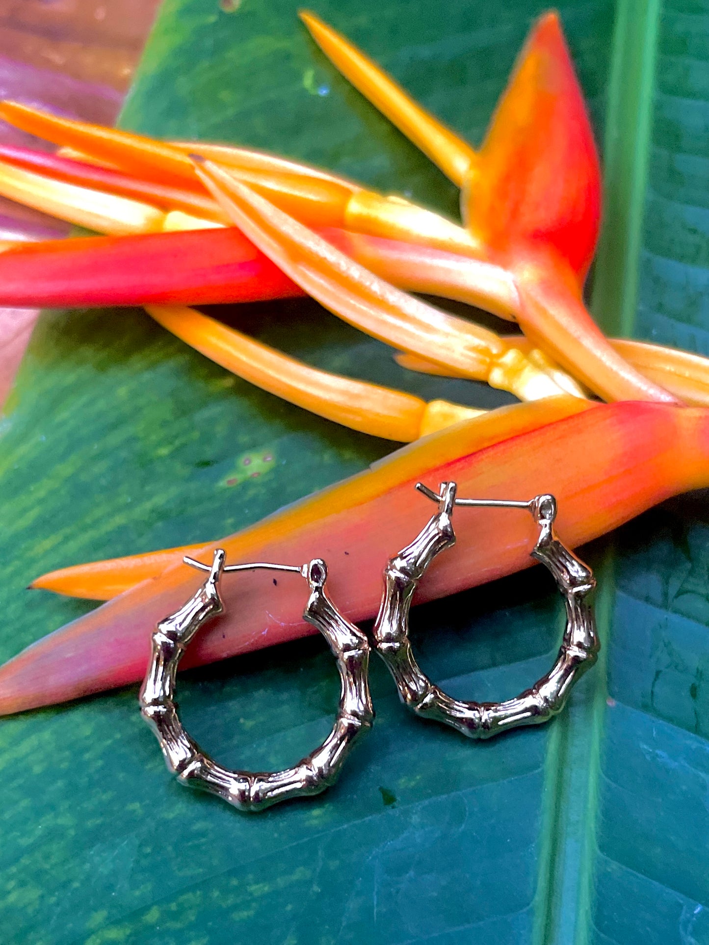 Whispers of Gaia: Small Bamboo Essence Hoop Earrings